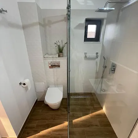 Vila David 招待所